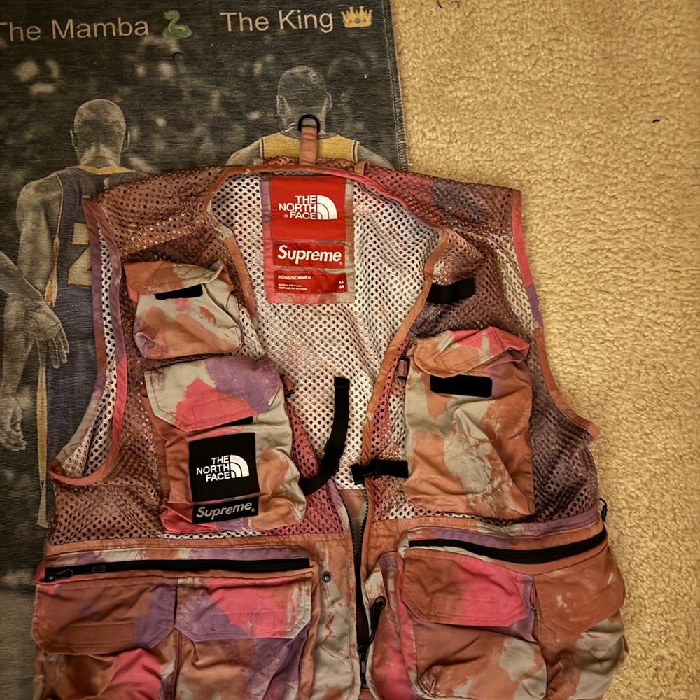 Supreme x The North Face Pink and Brown Vest